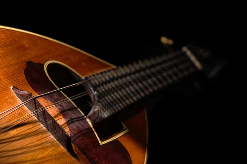 Mandolin lessons in Wirral