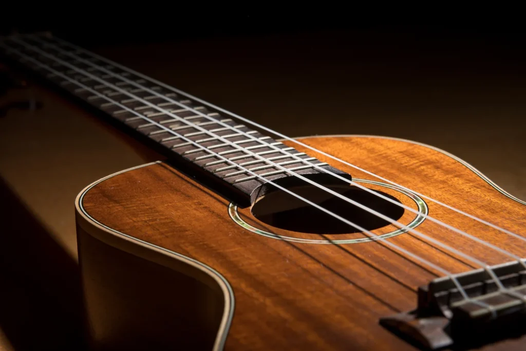 Ukulele lessons in Wirral